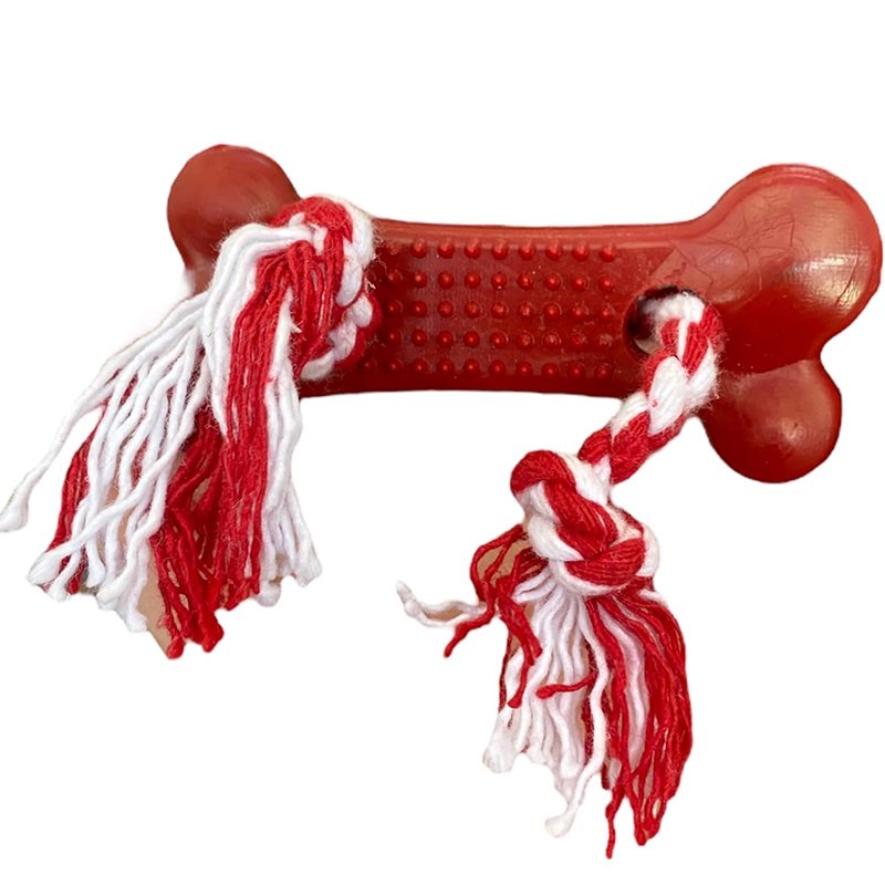 Osso Higiênico Com Corda Pequeno Brinquedo para Cachorro Brinquedo para Cães