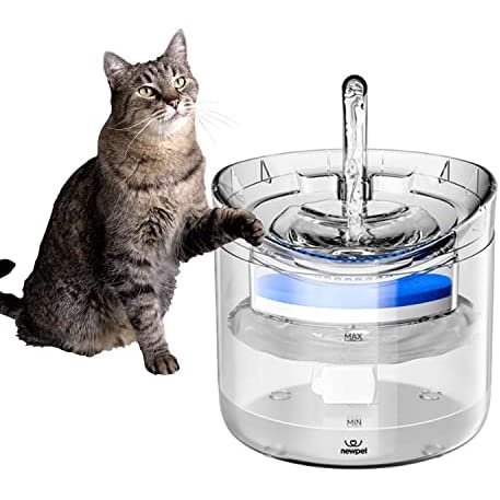 Bebedor 2L Gato Inteligente Fonte de água com Torneira Dispensador de água do cão Transparente Bebedor Pet Beber Filtros Alimentador Movimento